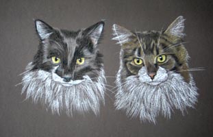 portrait of 2 cats - Jasper and Hugo