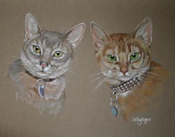 cAbyssinians cats Rory and Celtic
