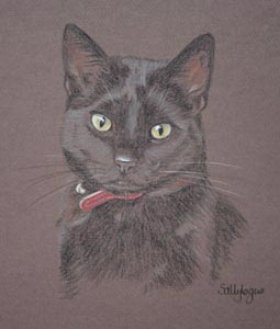 cat portrait - Cairo