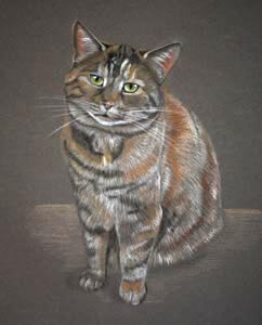 full body cat portrait - Tikka