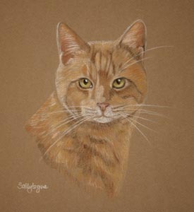 ginger tom cat portrait of Leo