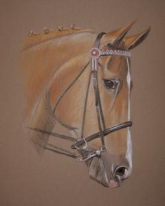 horse portiat Amber