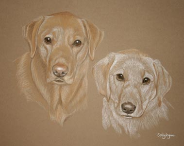 labrador and pup - Dannii and Keira