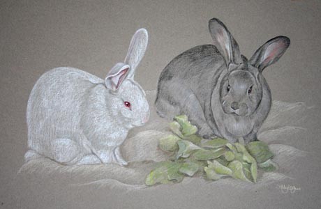 portrait of 2 rabbits 