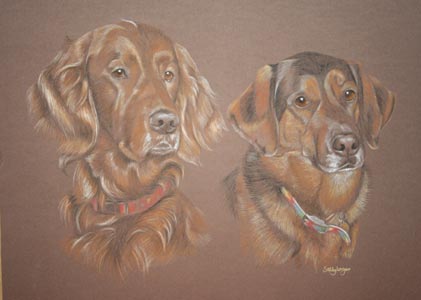 red setter and setter gsd cross breed - Jet and Sam