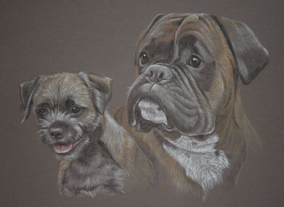 pastel portrait of boxer dog and border terrier_ Bunty and George