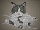 pastel portrait of Mickey, black and white cat