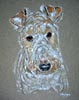 portrait of Bruno - Fox terrier