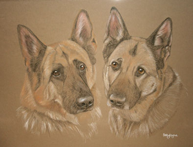 pastel portrait of two german shepherds - Jed and Sancha