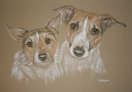 pastel portrait of Bobby and JR - two jack russels