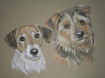 terriers - Macho and Spikey