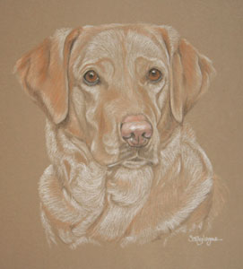 pastel portrait of Ralph- Yellow Labrador