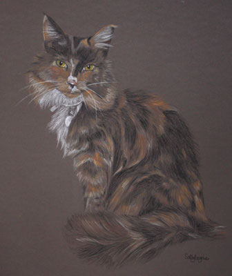 pastel portrait of tortoise shell cat - Cailin - full body cat portrait