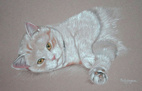 pastel portrait of cat - Jasper