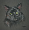 black cat - Sooty
