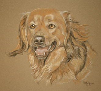 commissioned dog portrait - Becky, tan and black crossbreed