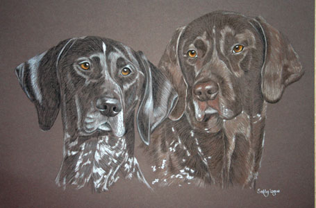 commissioned portrait of merlin and otter, german shorthaired pointers