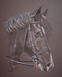 Jack - commissioned horse portrait 