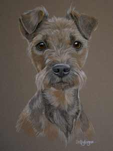 Sadi'es portrait - lakeland terrier in pastel