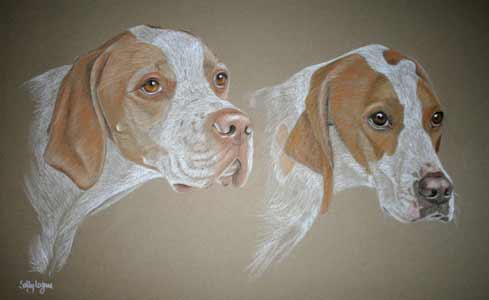 Sid and Ruby - portrait of 2 pointers