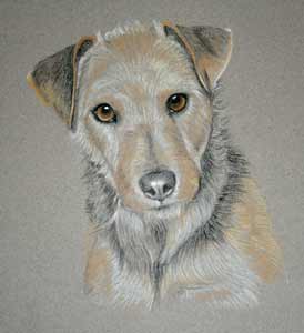 pastel portrait of terrier - Susie