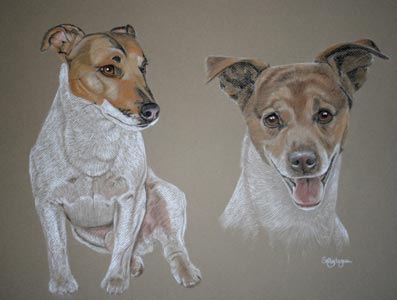 pastel portrait of Diggy, Jack Russell