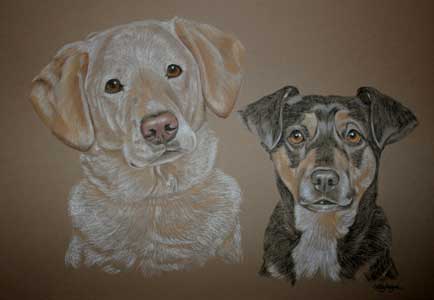 George and Wispy - yellow lab and terrier portrait