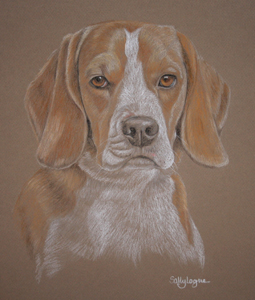 pastel portrait of beagle - Snoop