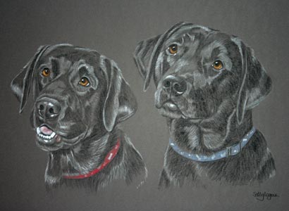 pastel portrait of Faye and BomBoms two black labs