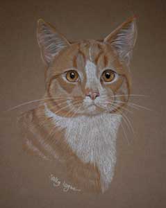 pastel portrait of Ginger Tom - Benji 