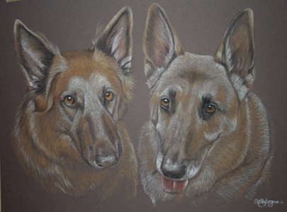 pastel portrait of two german shepherd dogs Storm and KIng