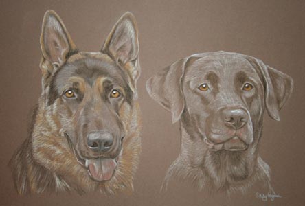 GSD and chocolate lab