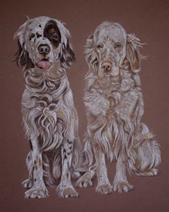 pastel portrait of Ellie and Sariah - english setters, by Sally Logue