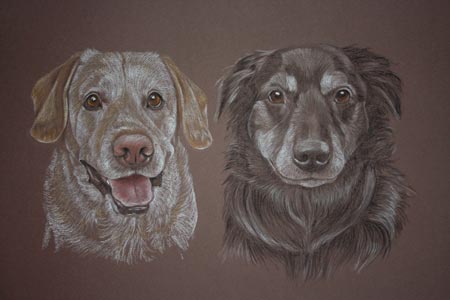 portrait of 2 dogs - Ben and Jed by Sally Logue