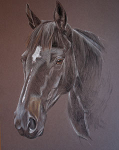 pastel portrait of Ashlands dark prince - black horse