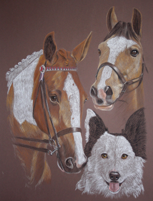 portrait of coloured horse, dun pony and border collie