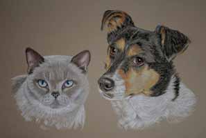 portrait of lilac short hair cat adn jack russell - Miya and Jaz