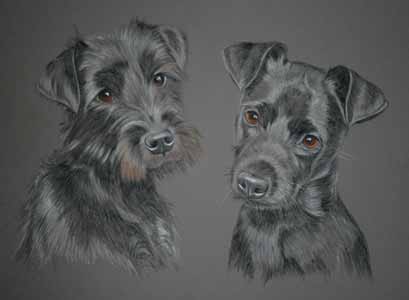 pastel portrait of patterdale terriers, alfie and tess