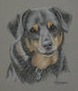 Barney