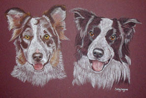 double dog portraits - iBorder Collies - Meg and Jay