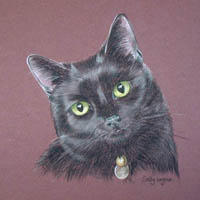 Black Cat portrait_Arkle