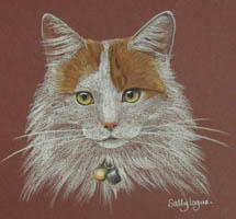ginger and white tom cat portrait - Jasper