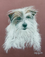 dog portrait - jack russel terrier - Ellie