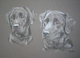 Donald and Frazer - black Labs