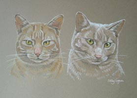 portrait of 2 cats - Dennis and Murphy