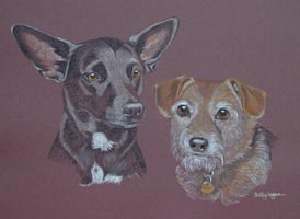 terriers - Jack and Tuppence
