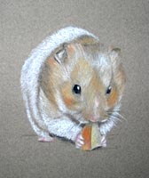 hamster eating apple - Ginger's Portrait
