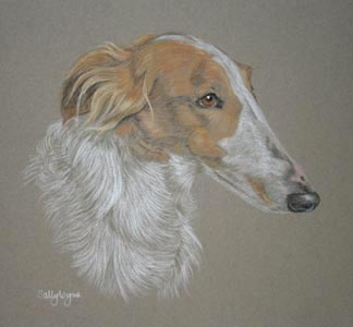 Borzoi - Minty