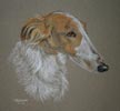 borzoi - NZ Mint