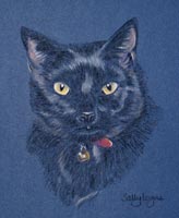 black cat portrait - Jemima